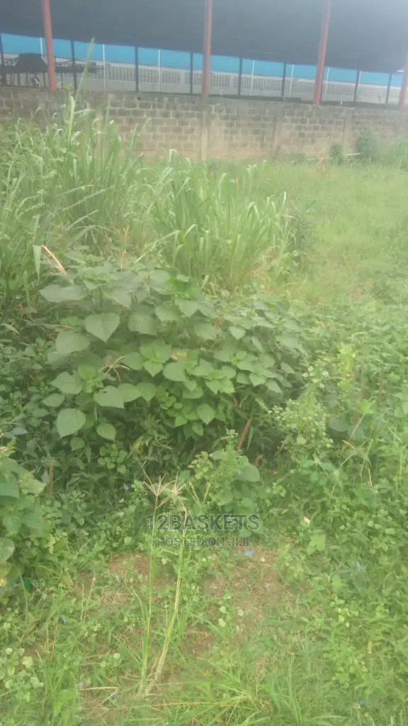 Half Plot of Land at Praisehill Estate, Arepo
