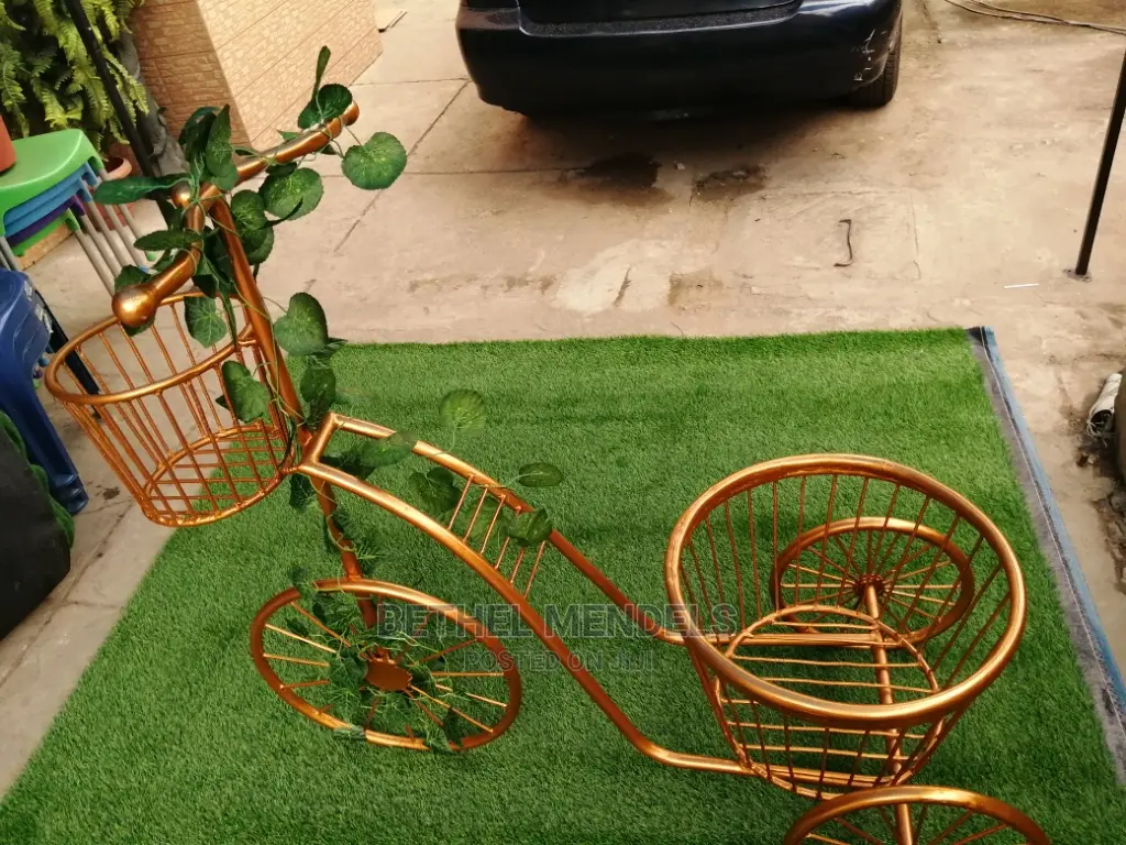 Elegant Indoor Tricycle For Sale