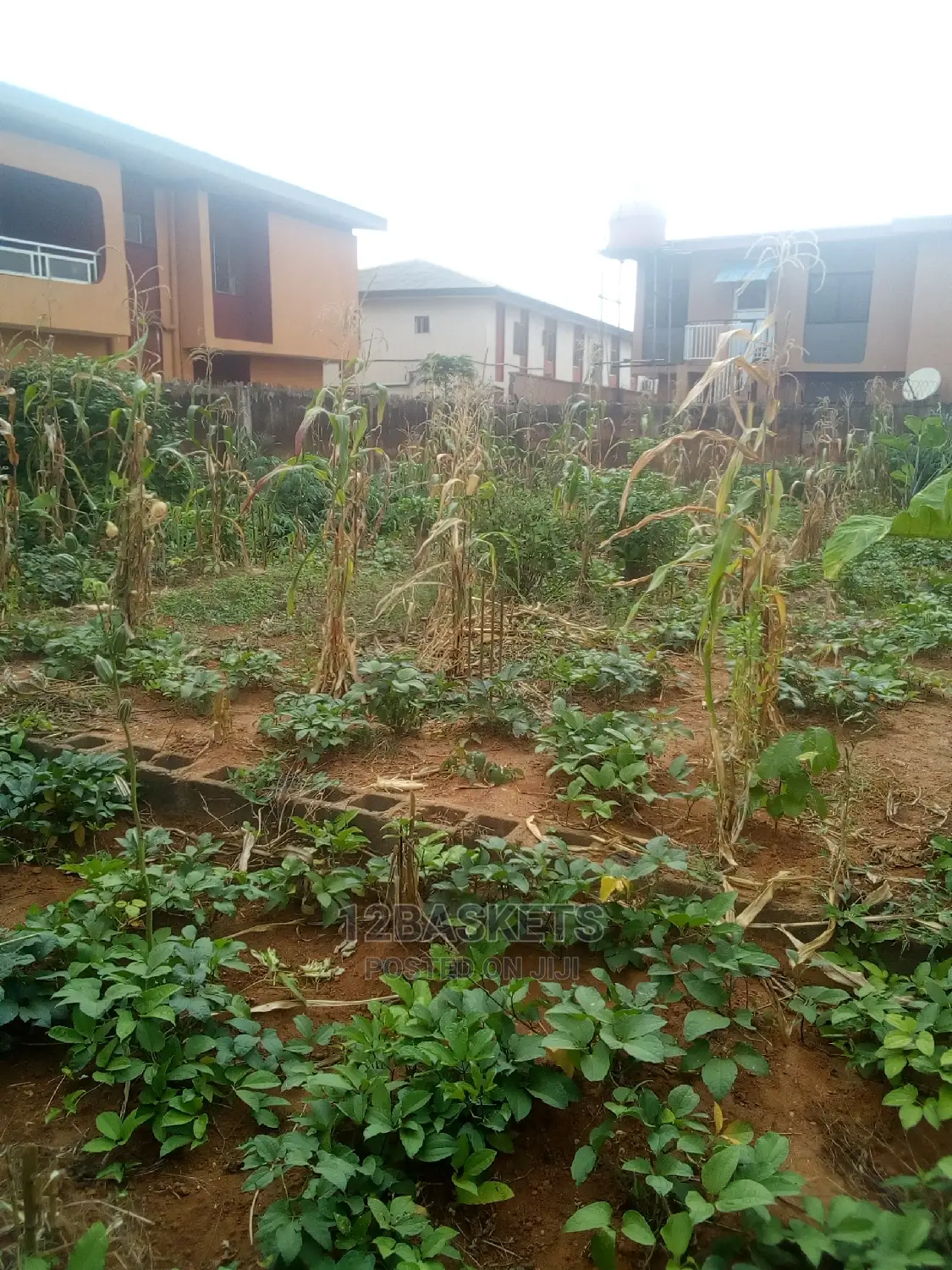 Complete Half Plot at Alagbole