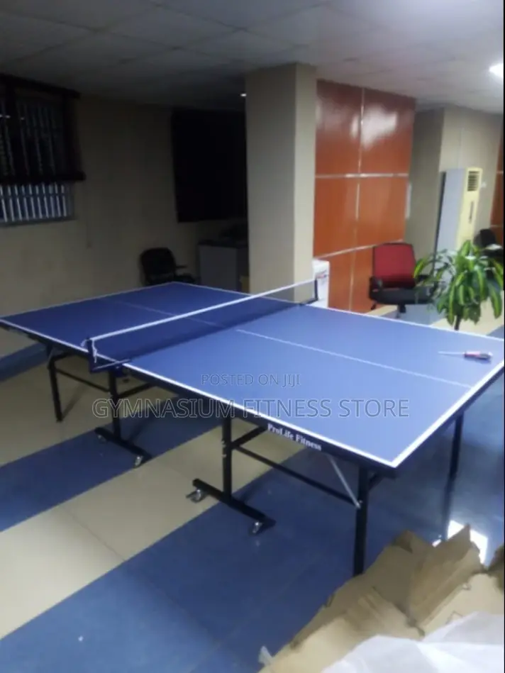 Pro Life Indoor Table Tennis New 540