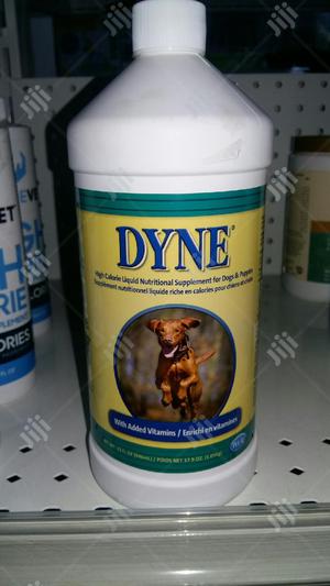 Dyne Liquid Nutrition Supplements For Dog And Puppies 529g