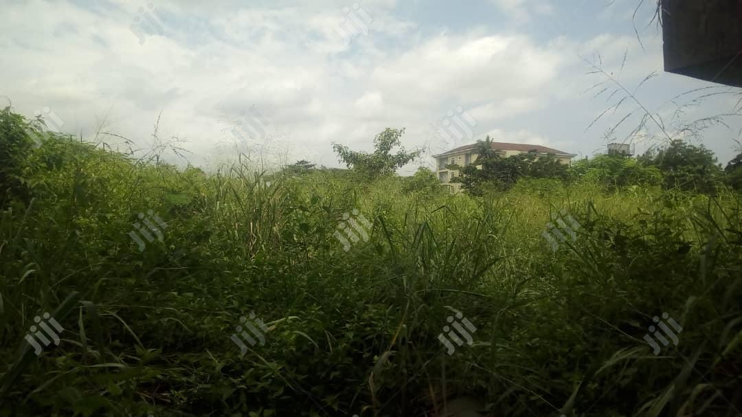 2 and Half Plot of Land Beside Indomie