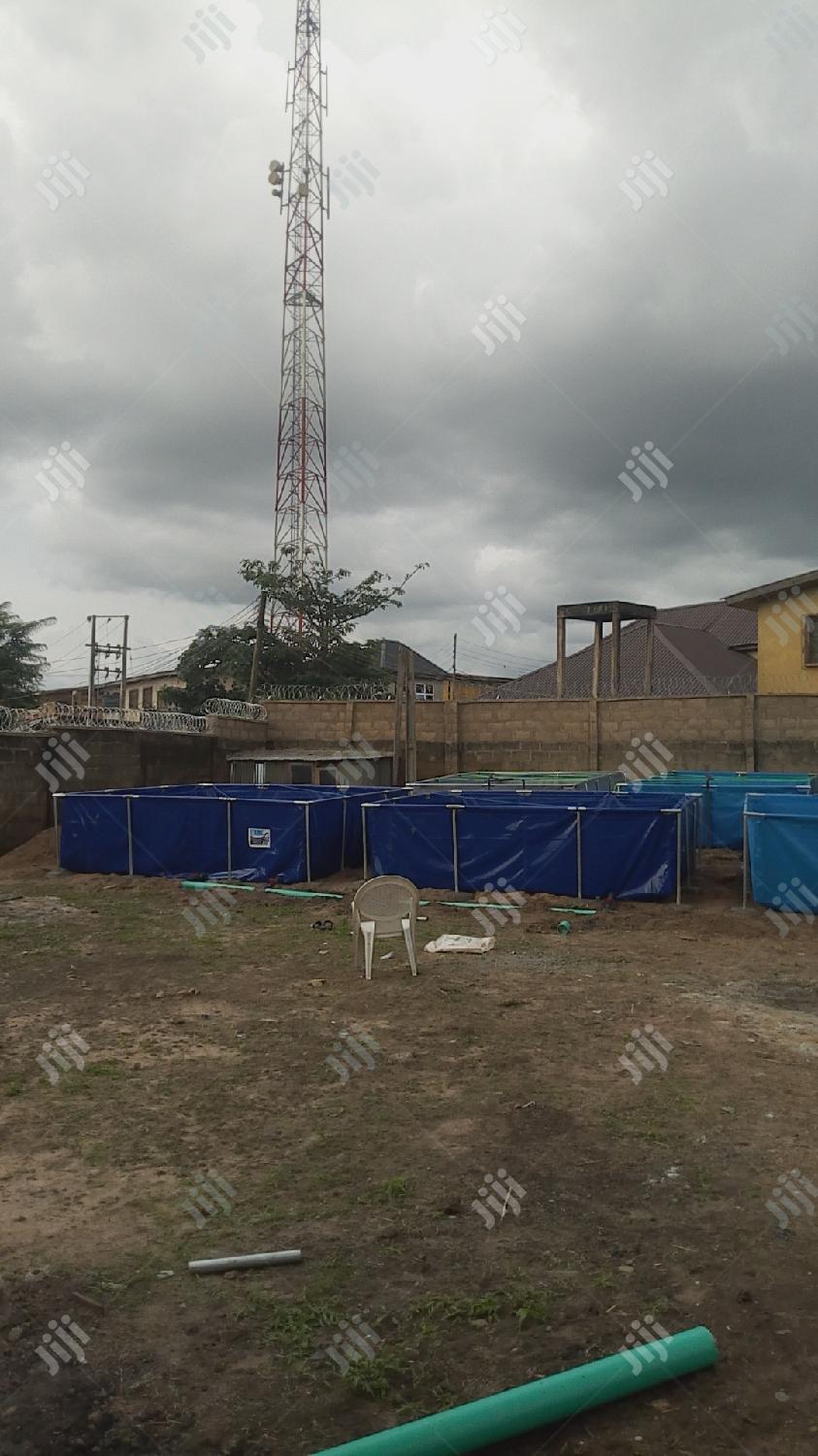 Fish Pond Construction