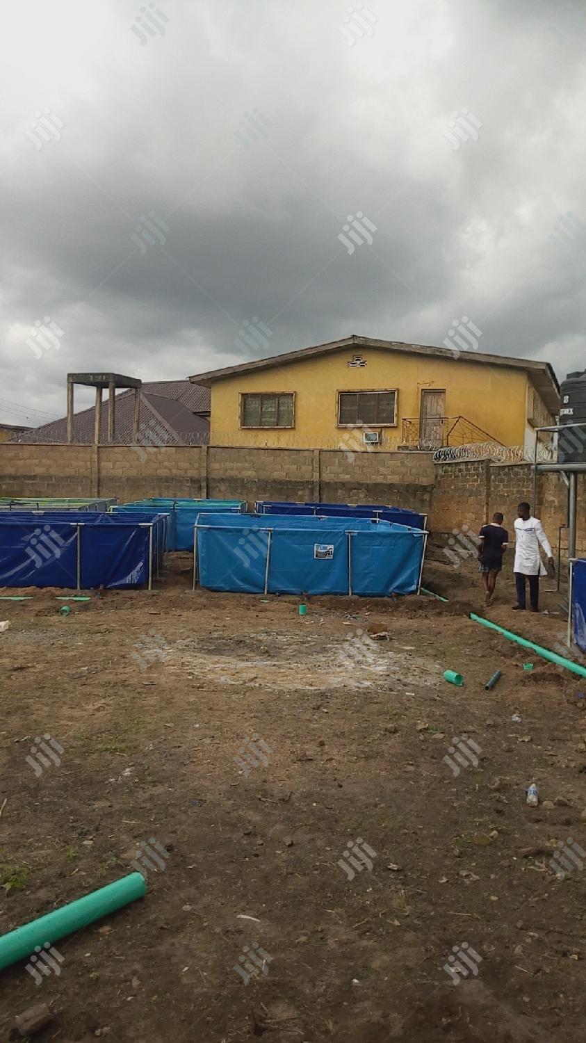 Fish Pond Construction