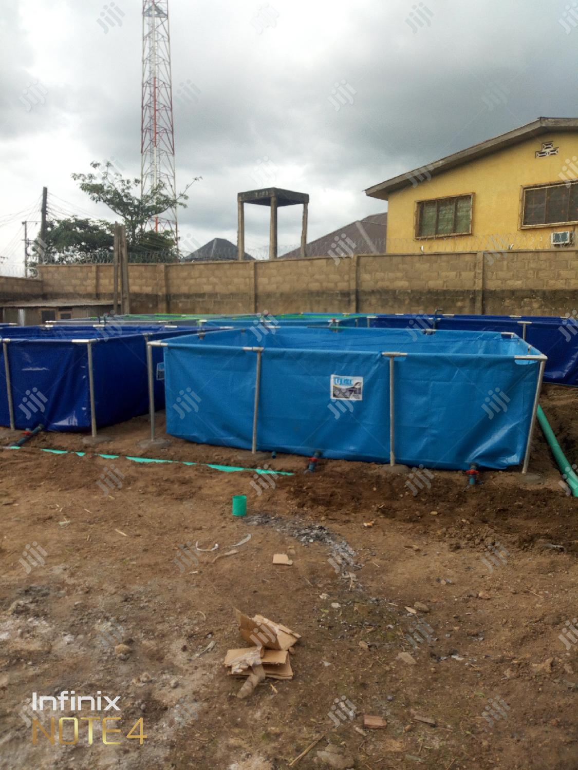 Fish Pond Construction