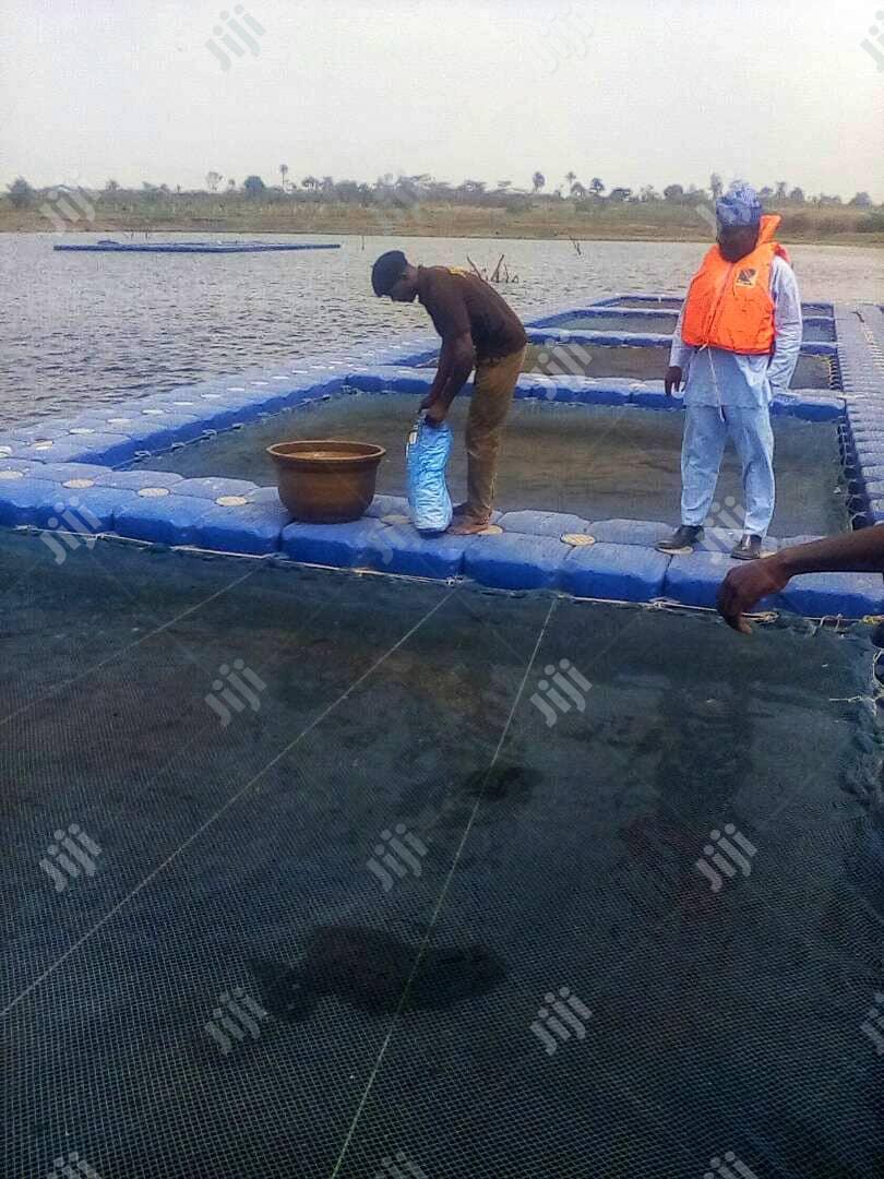 Fish Tarpurlin Pond