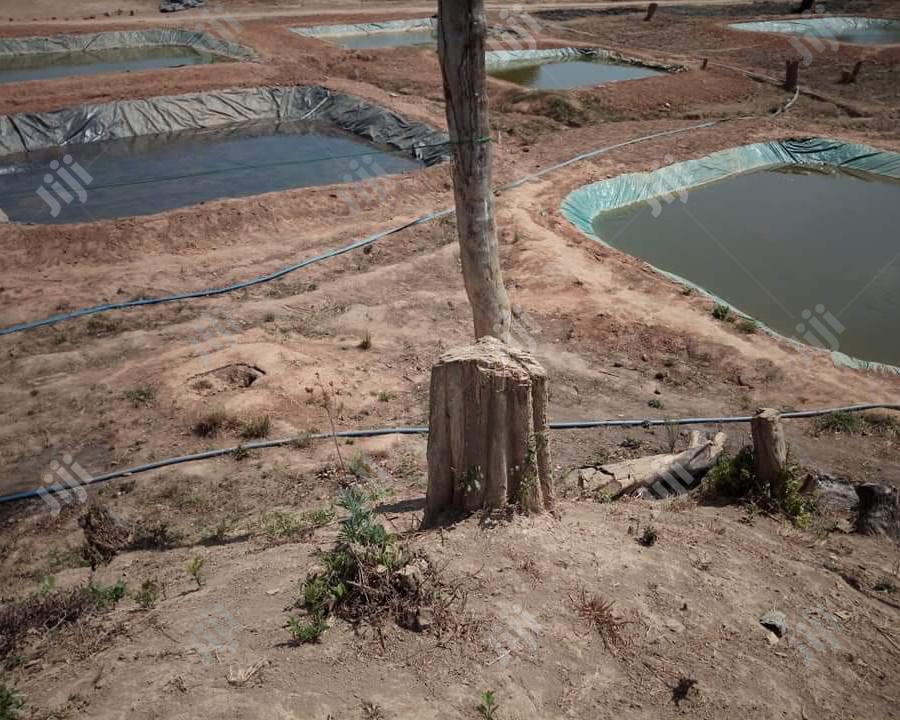 Dam Linen Fish Farming