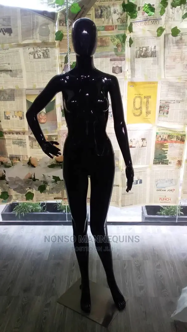 Fashion Display Modelsss NEW