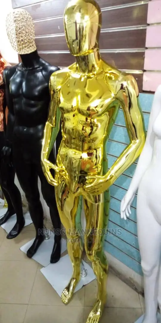 Male Gold and Othe Colours Display Fashion Mannequinsss