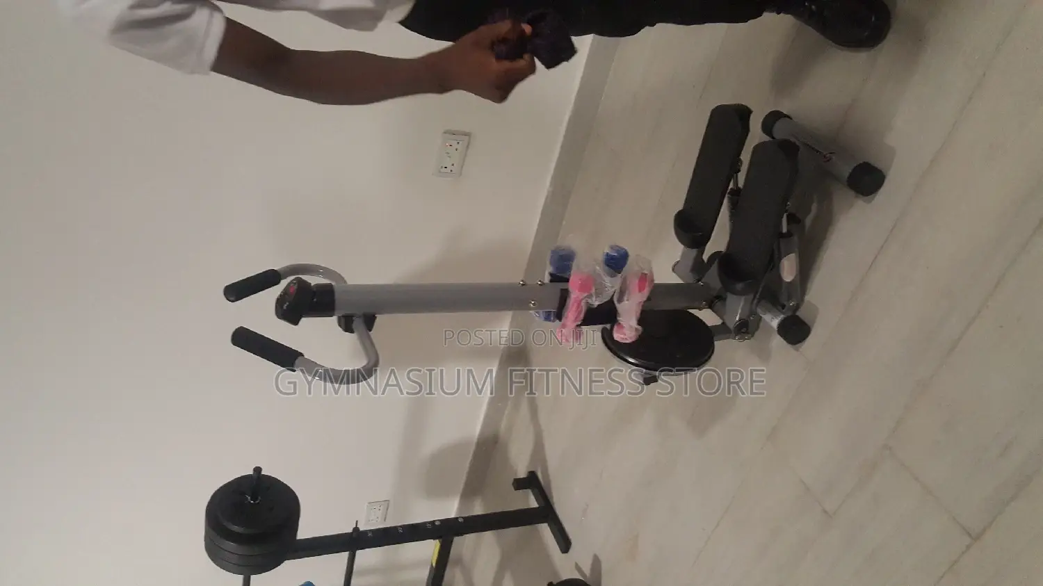 Standing Stepper With Waist Twister