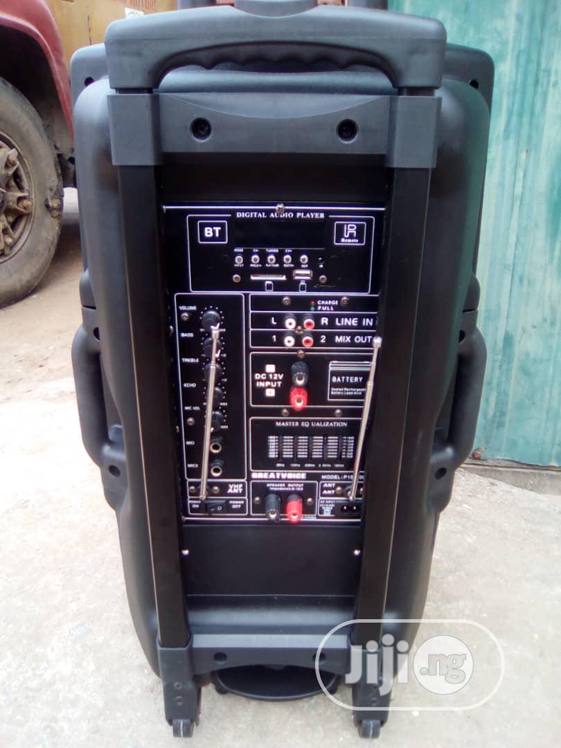 15 Inches Public Address System