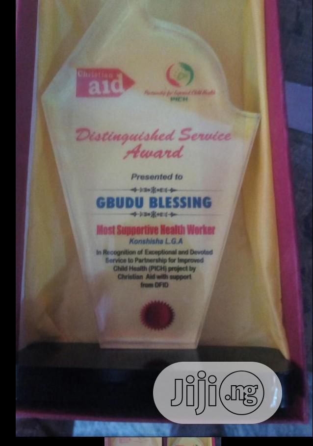 Acrylic Award With Branding
