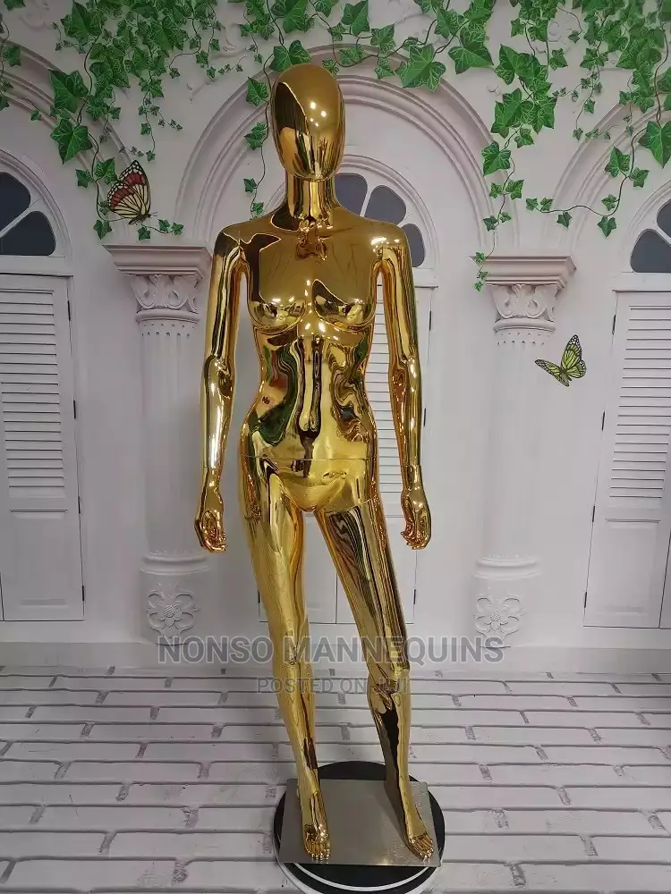 Clothes Mannequins Display