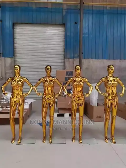 Clothes Mannequins Display