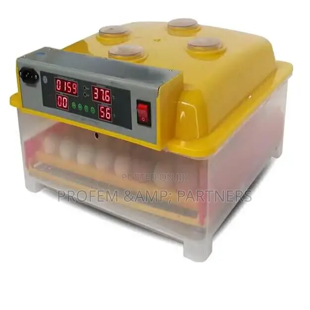 Incubator for Hatching Eggs