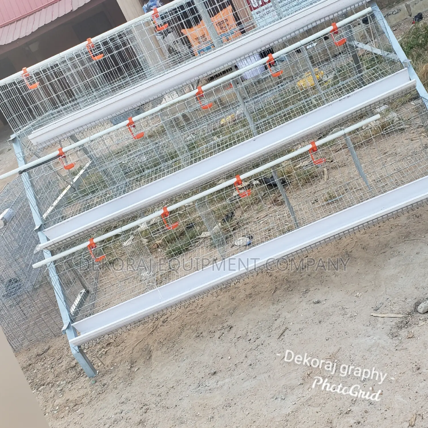 Battery Cage for 120 Layers Available