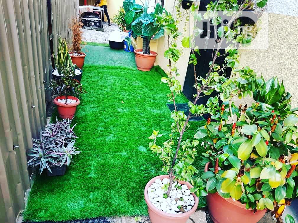Grass Rugs for Entrance of Compound (Outdoor)