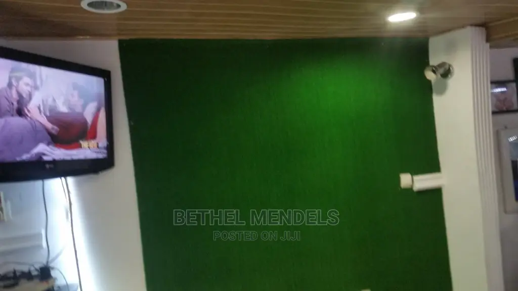 Artificial Grass For Wall Design