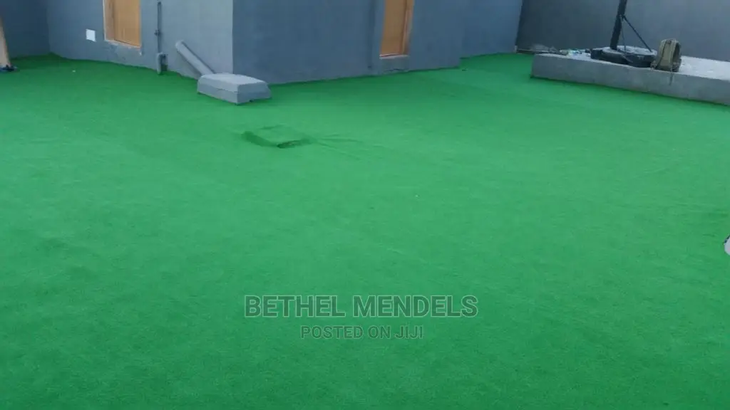 School Astro Synthetic Grass