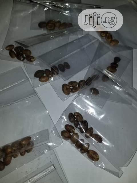 Miracle Seed for Flat Tummy