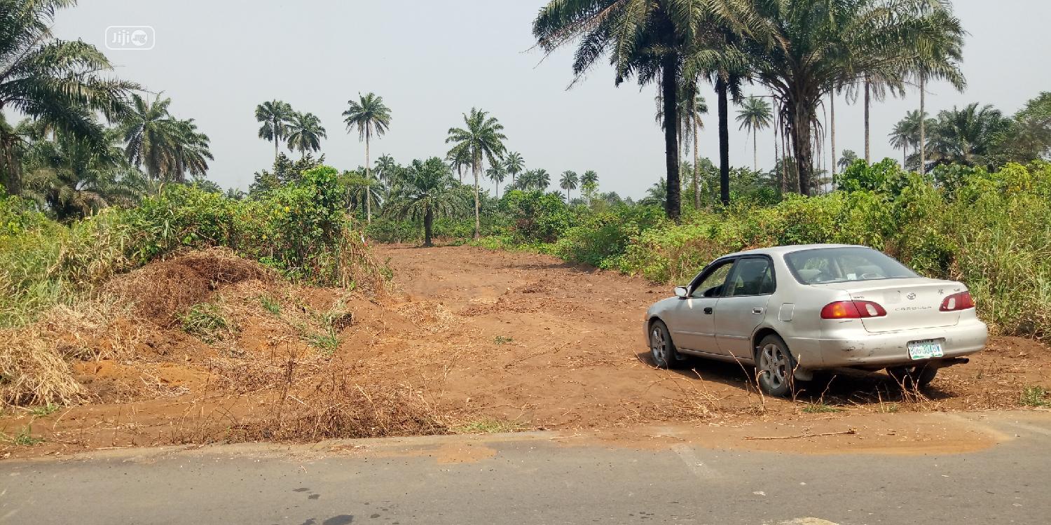 Geeko Luxerycity Estate Ipo Omagwa After Intl. Airport
