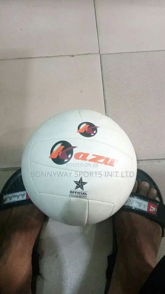 Volleyball Balls