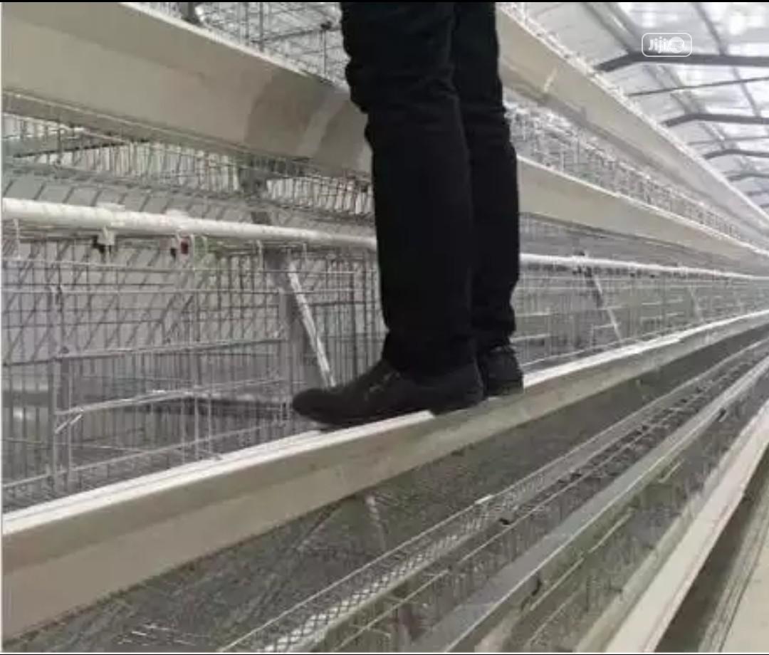 China Factory Best Quality Battery Cages Poultry Cages