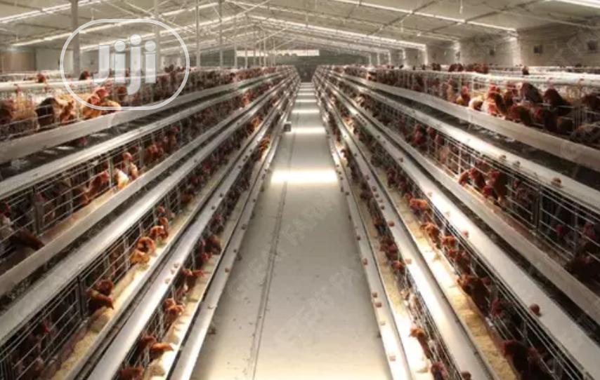 China Factory Imported Battery Cages 160 Birds One Set Chicken Cages