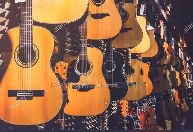 Neat Used Limited Edition Classical/Nylon String Guitars