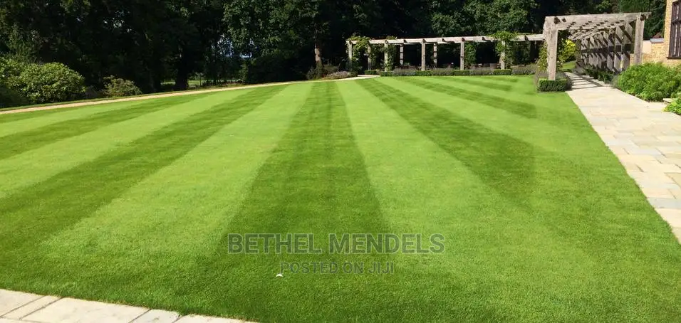 Amazing Fake Grass For Your Beautiful Landscaping View