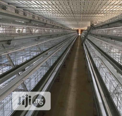 Poultry Cages Imported Battery Cages Best Chicken Cage