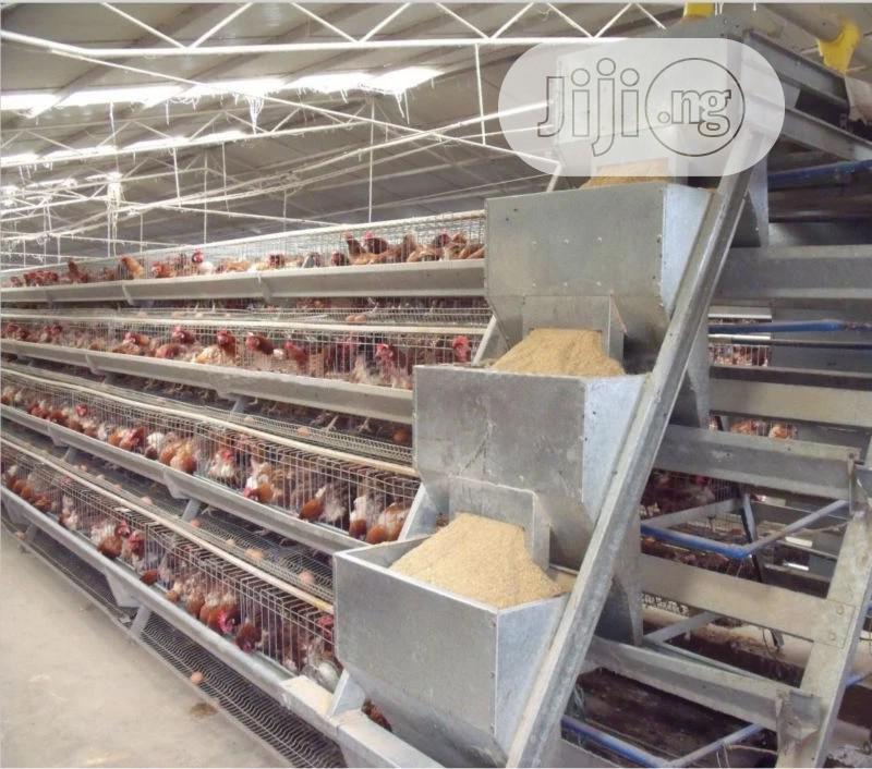 China Factory Poultry Cages Chicken Battery Cages Hot Galvanized Cages