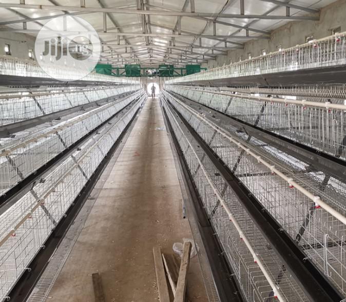 China Factory Best Quality Layer Cage Imported Layer Cage