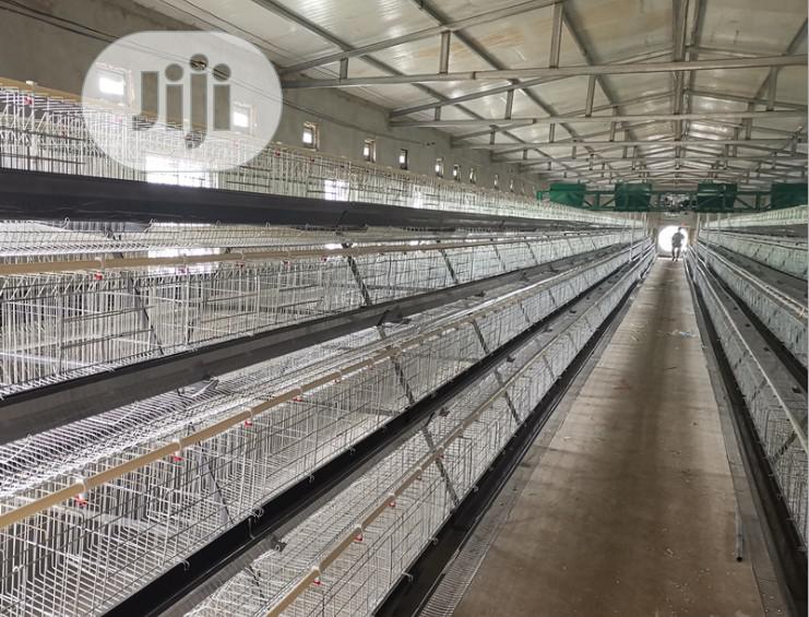 China Factory Best Quality Layer Cage Imported Layer Cage