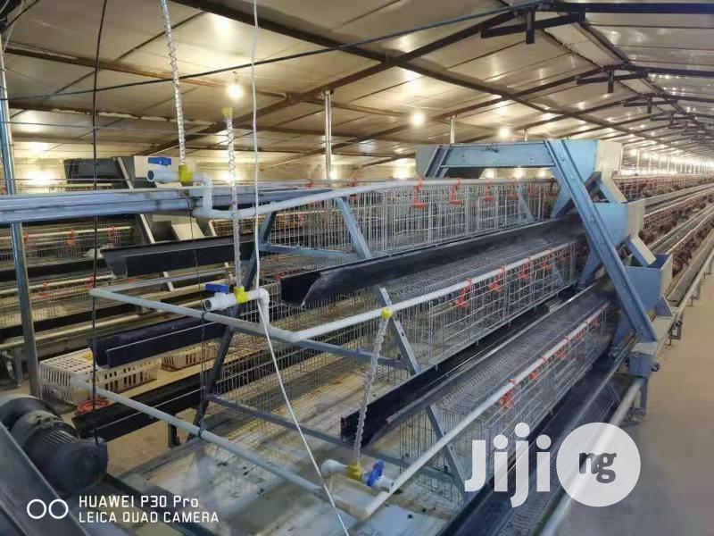 Battery Cages China Factory Imported Hot Galvanized Poultry Cages
