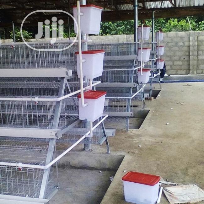 Battery Cages China