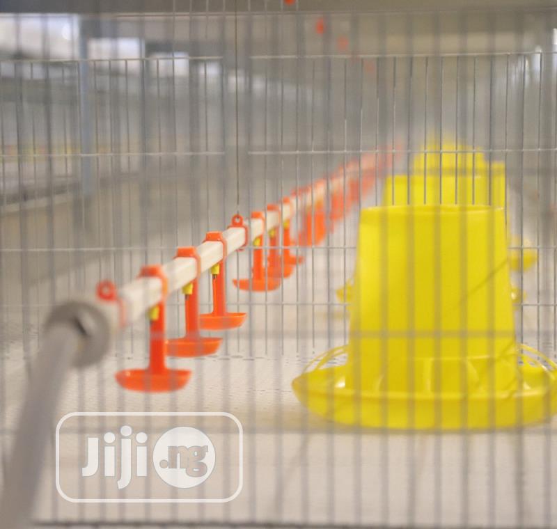 Battery Cages China