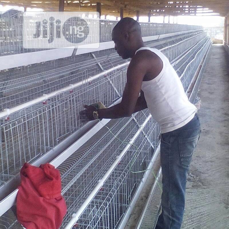 China Factory Battery Cage Best Quality Wholesale Price Poultry Cages