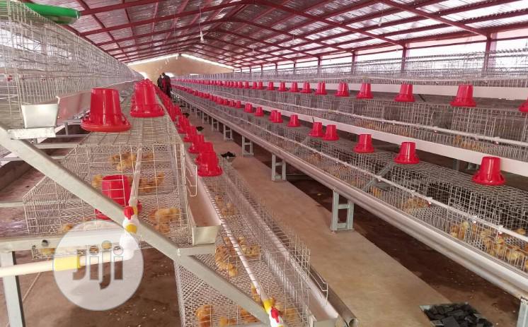 China Factory Battery Cage Best Quality Wholesale Price Poultry Cages