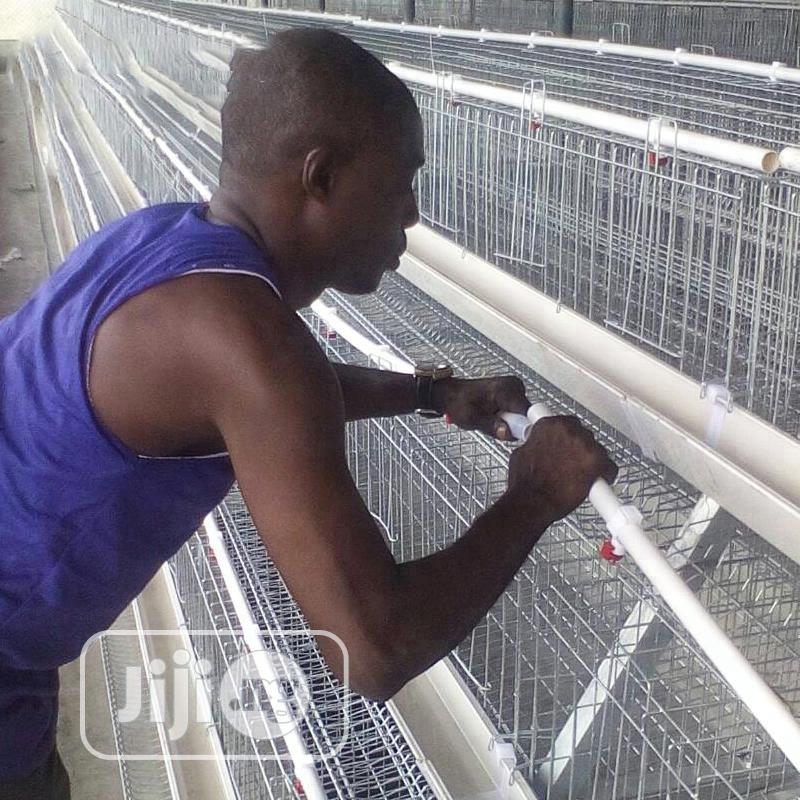 Battery Cages Best Hot Dipped Galvanized Battery Cages