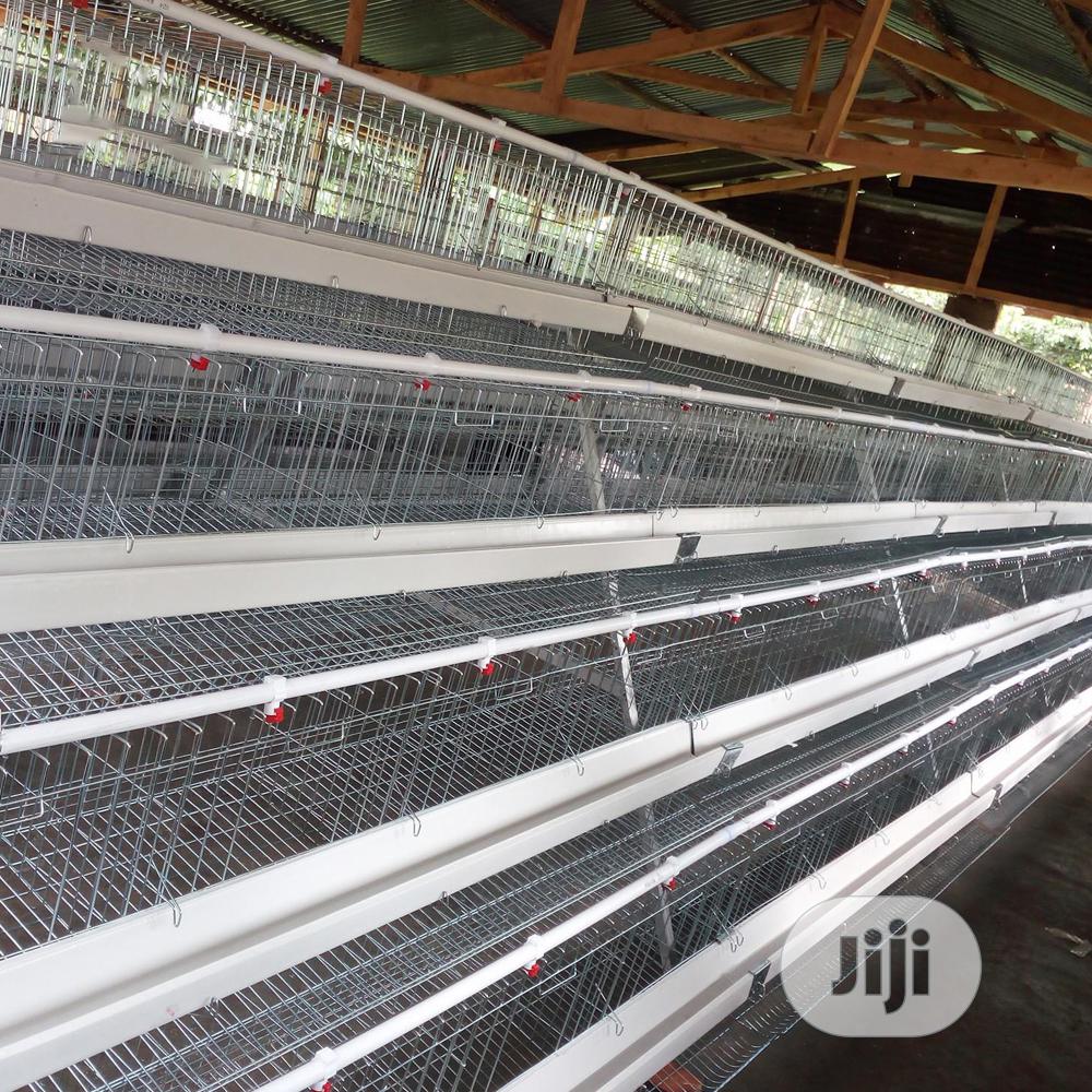 Battery Cages Best Hot Dipped Galvanized Battery Cages