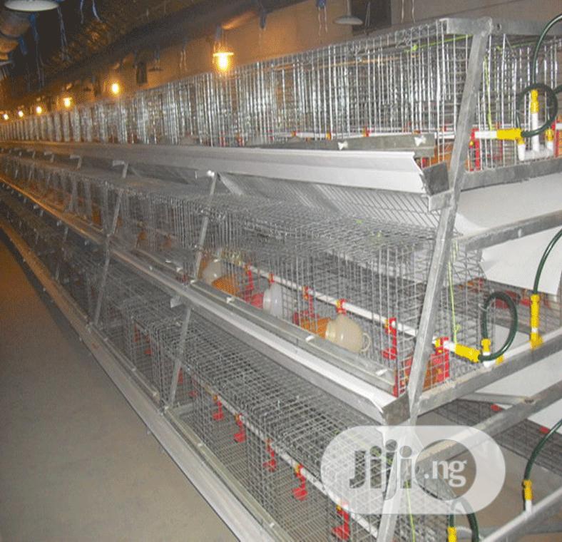 China Factory a Type Battery Cages Best Poultry Cages