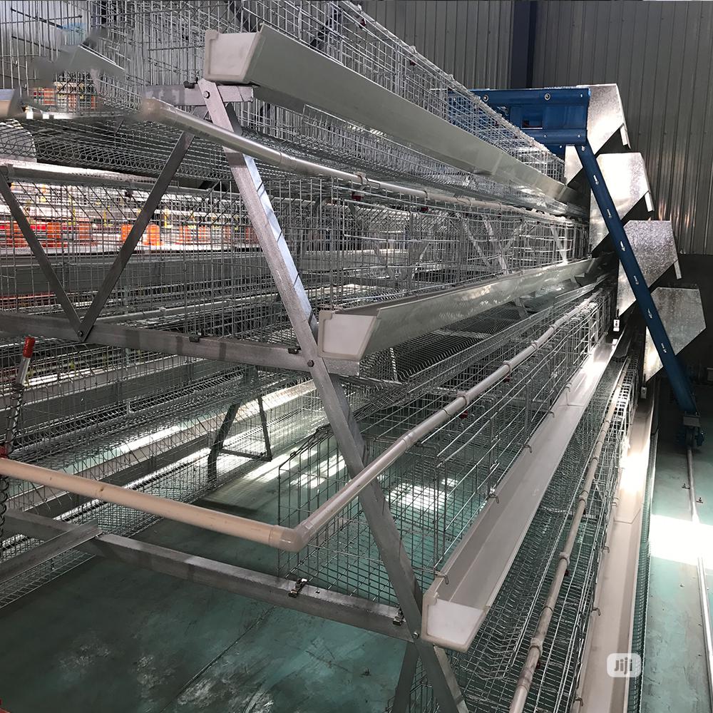 China Factory a Type Battery Cages Best Poultry Cages
