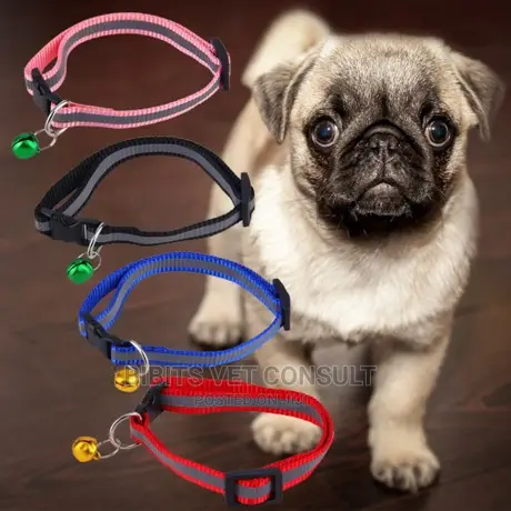Reflective Collar for Cat Puppy and Small Dogs With Bell