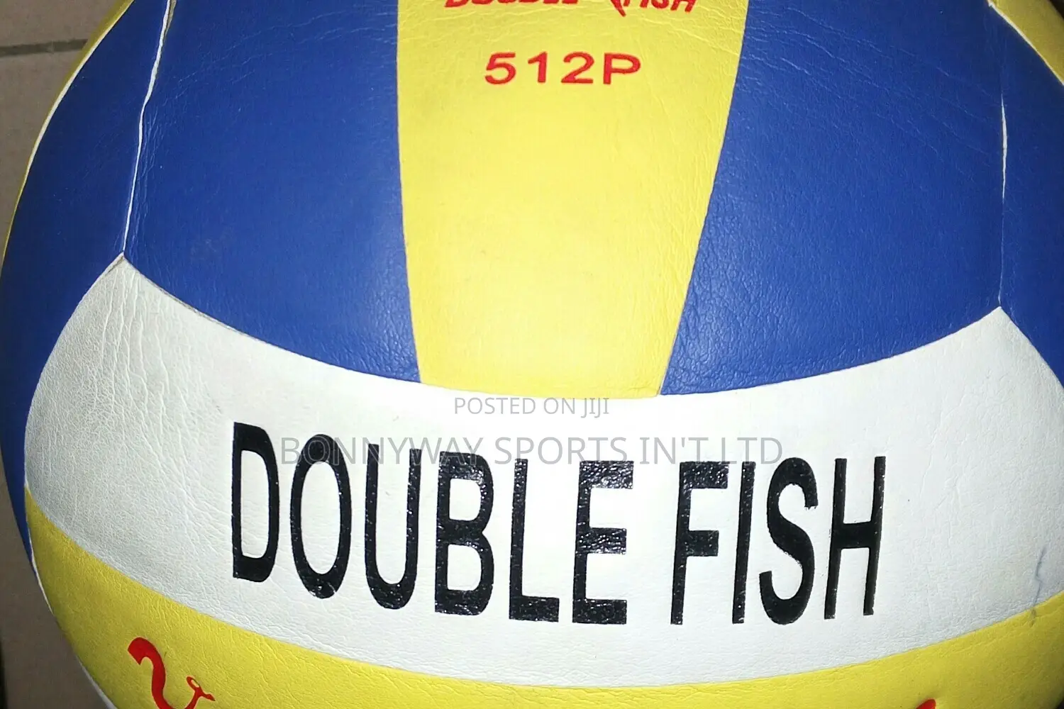 Double Fish Volleyball