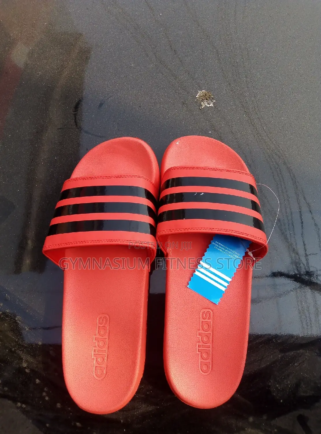 Adidas Palm GDFT