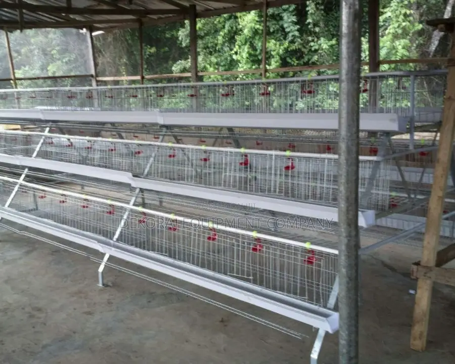120 Birds Battery Cage For Laying Hen Imported New