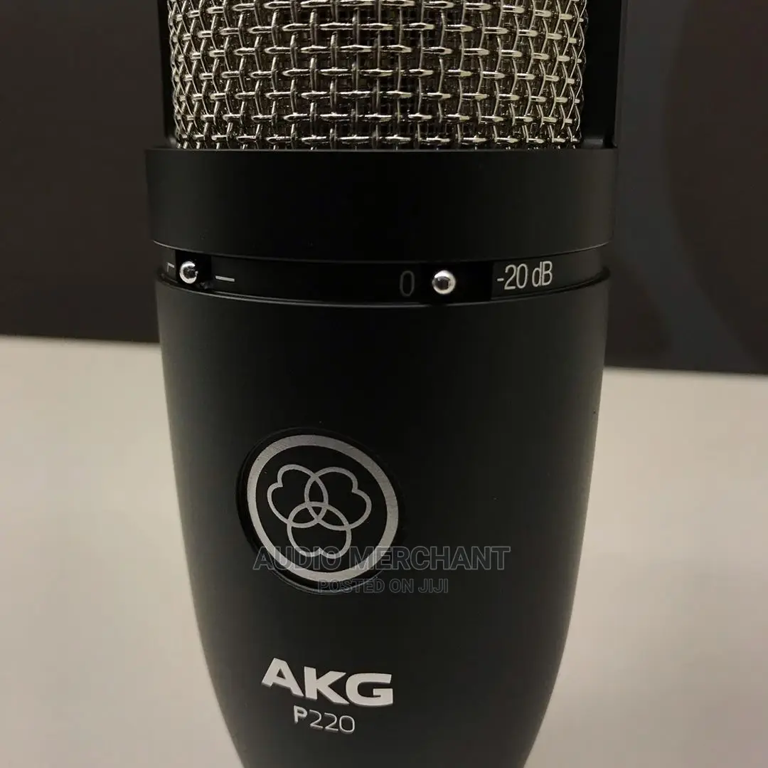 AKG P220 Condenser Microphone