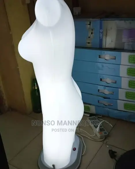 Mannequins For Undies
