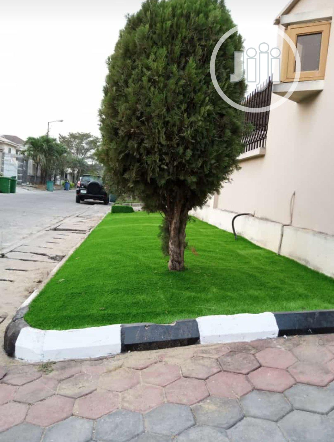 Quality Turkish Artificial Grass for Garden.